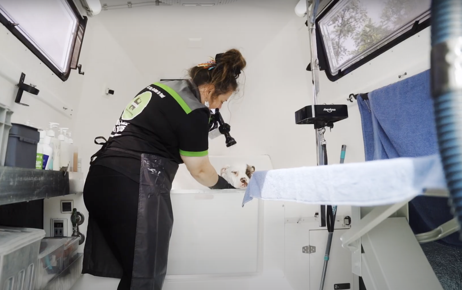 A dog receiving a bath in the Pawsome mobile trailer