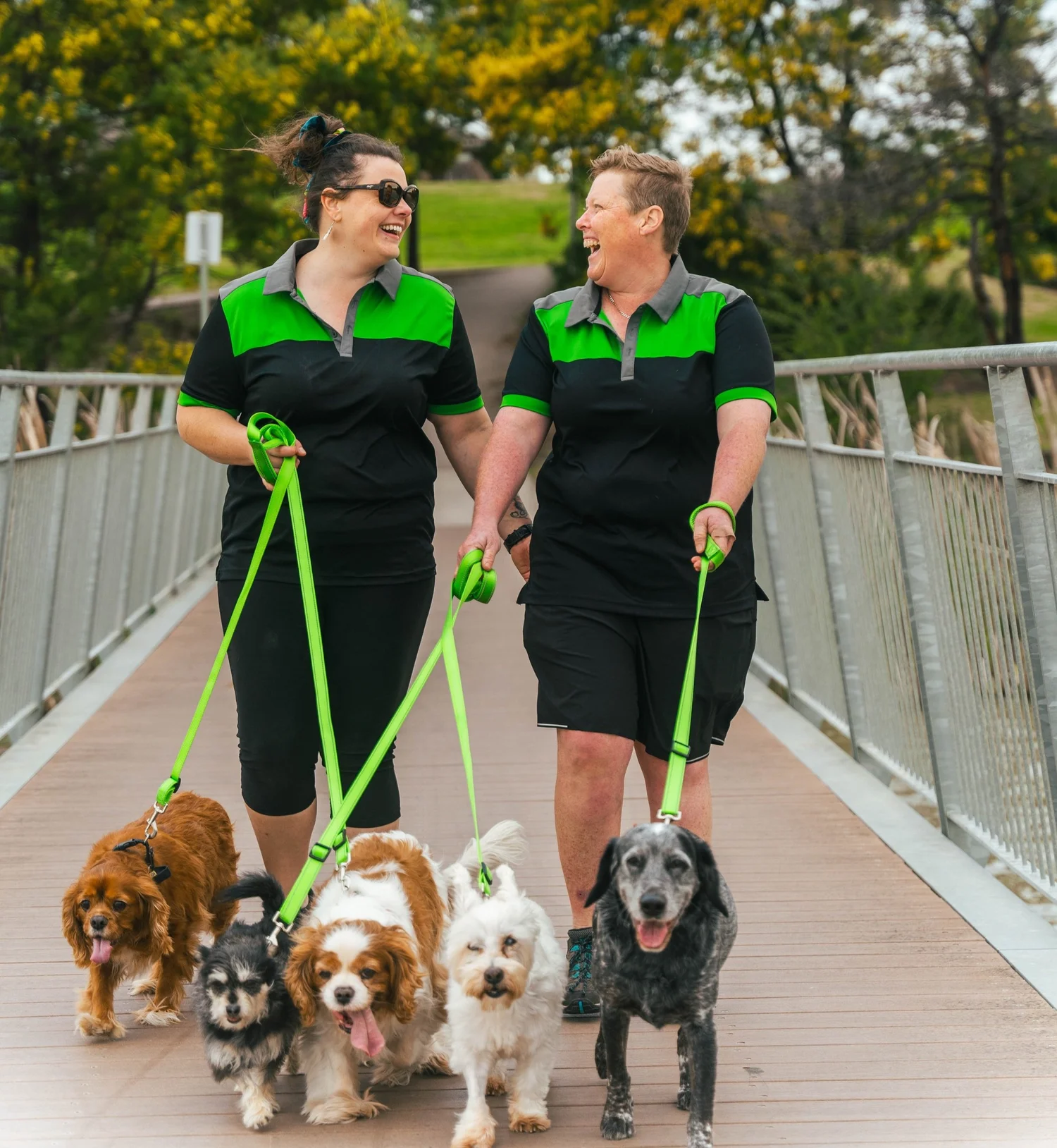 Megan and Bec walking a group of dogs