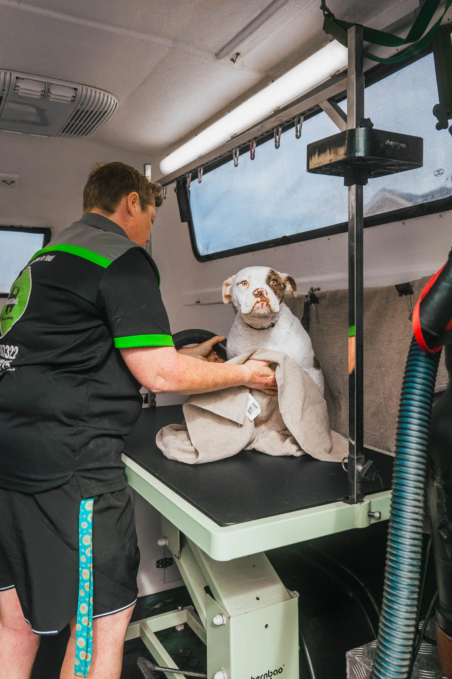 A dog enjoying a mobile dog wash